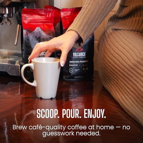 Whole Bean Coffee Bean Medium Parent
