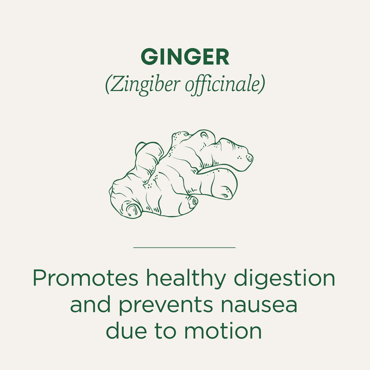 Traditional Medicinals Digestion-Tea Singles