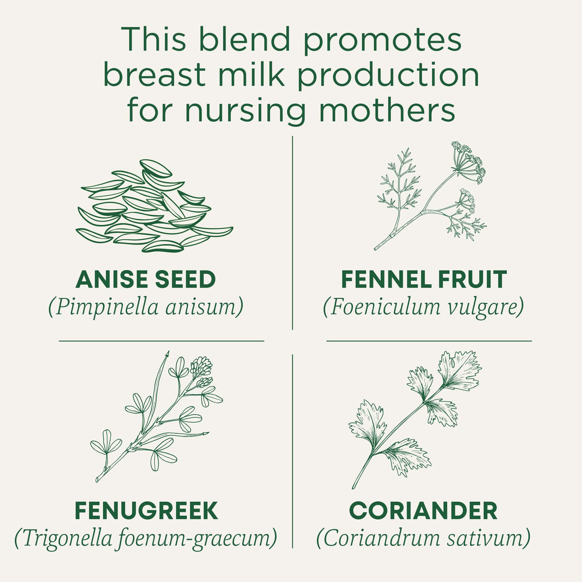 Traditional Medicinals Organic Women's Wellness Tea Collection, 16-32 Tea Bags