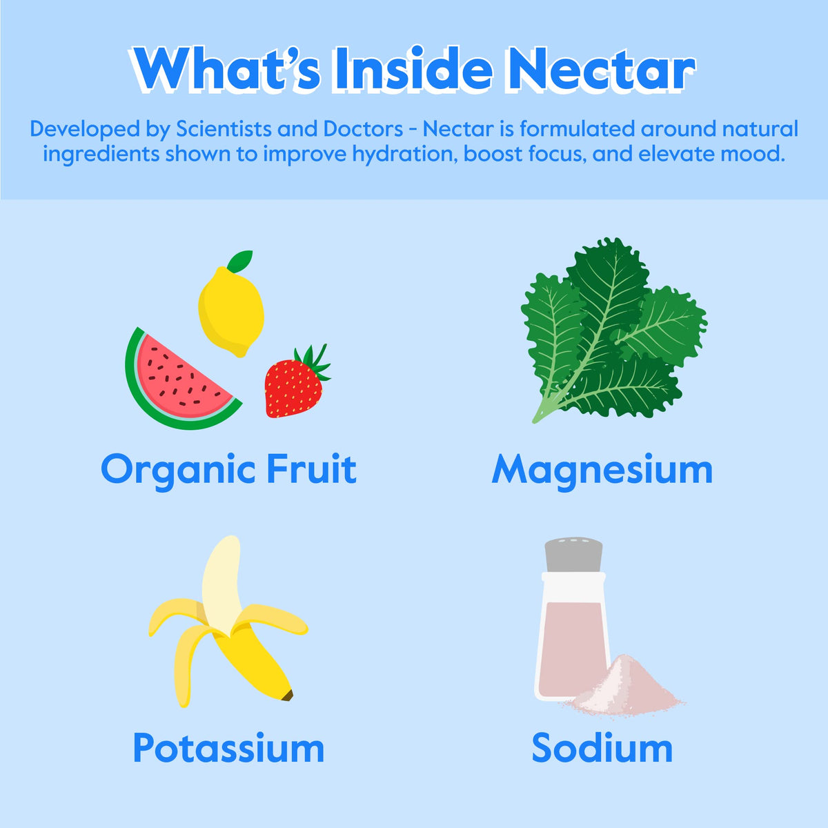 Nectar Hydration Packets - Electrolytes Powder Packets - No Sugar or Calories - Organic Fruit Liquid Daily IV Hydrate Packets for Dehydration Relief and Rapid Rehydration