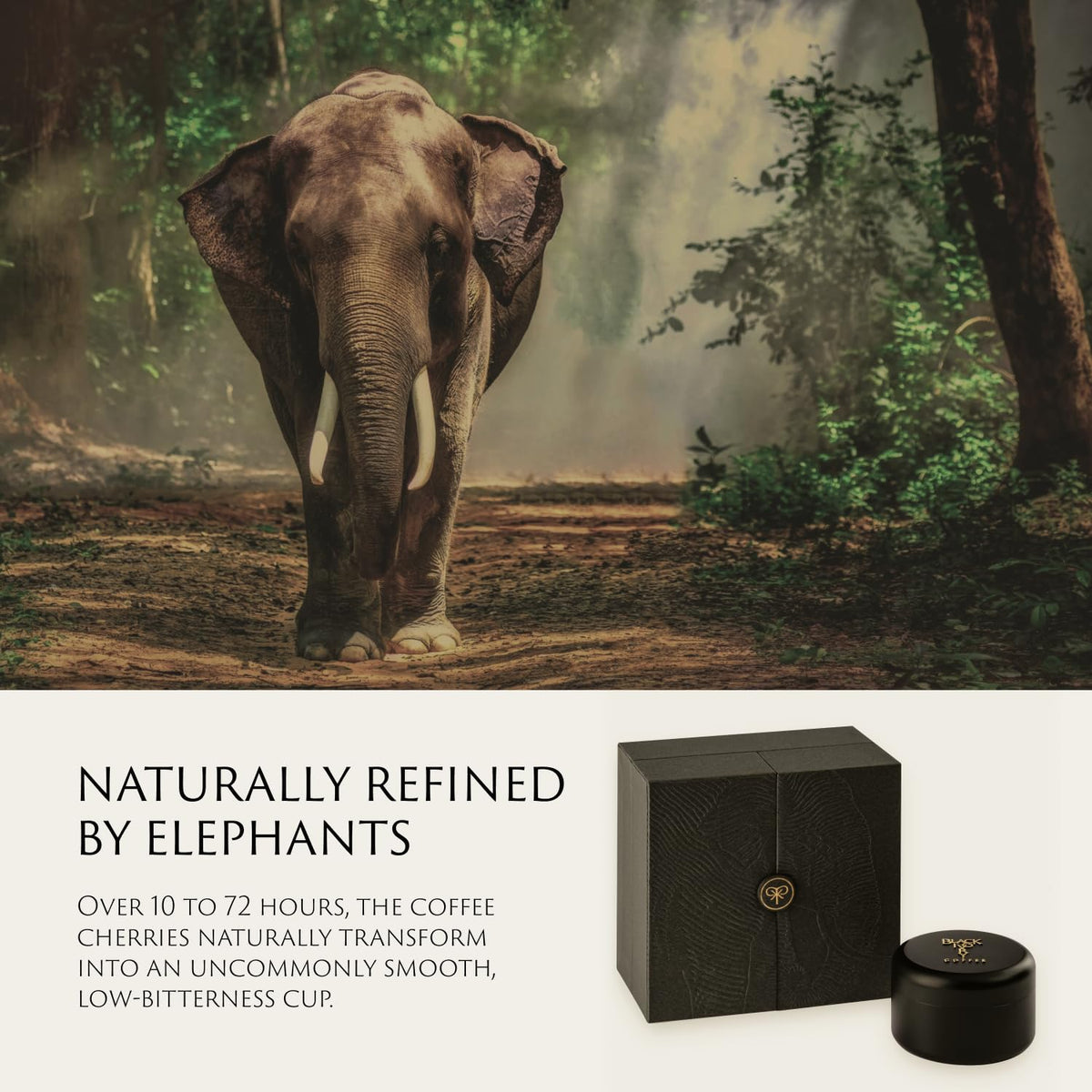 Black Ivory Elephant-Refined Premium Whole Bean Coffee