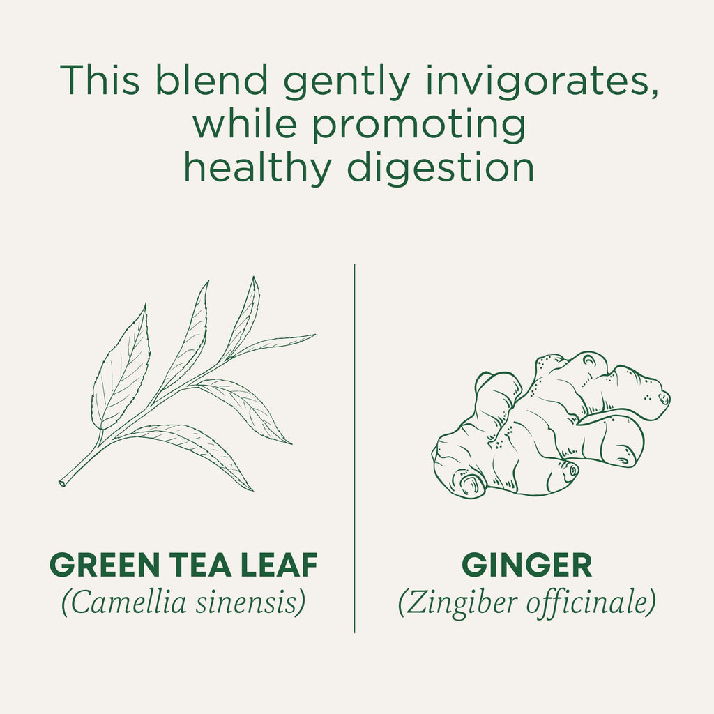 Traditional Medicinals Organic Green Tea & Hibiscus Collection, 16-96 Tea Bags