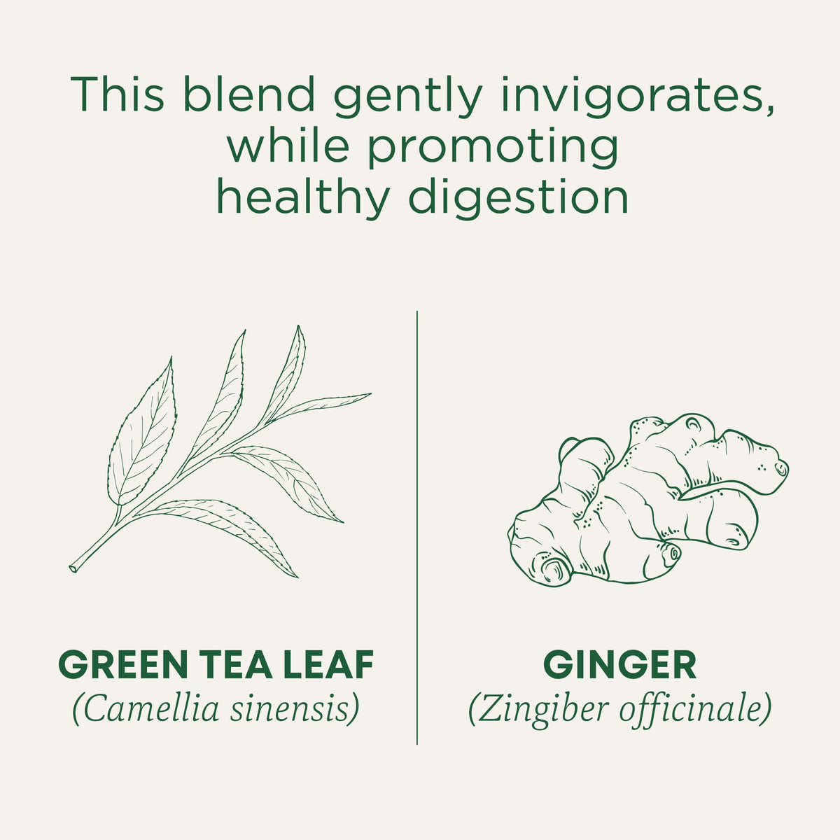 Traditional Medicinals Organic Green Tea & Hibiscus Collection, 16-96 Tea Bags
