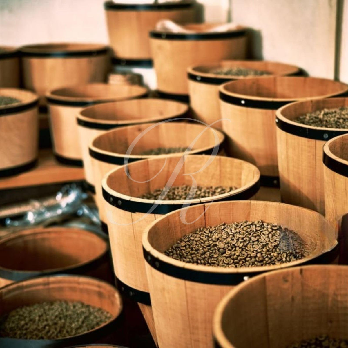 5 lbs of 100% Certified Jamaica Blue Mountain Coffee (Dark Roast)
