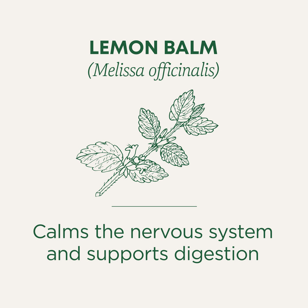 Traditional Medicinals Organic Calming & Stress Support Tea Collection, 16-32 Tea Bags