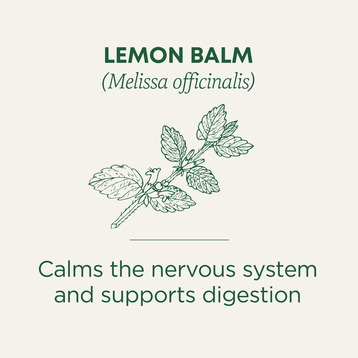 Traditional Medicinals Organic Calming & Stress Support Tea Collection, 16-32 Tea Bags