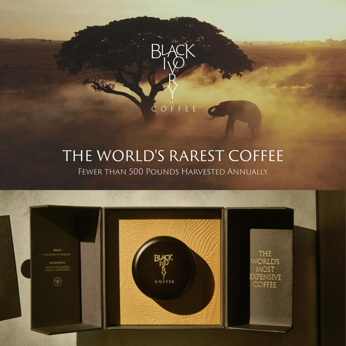Black Ivory Elephant-Refined Premium Whole Bean Coffee