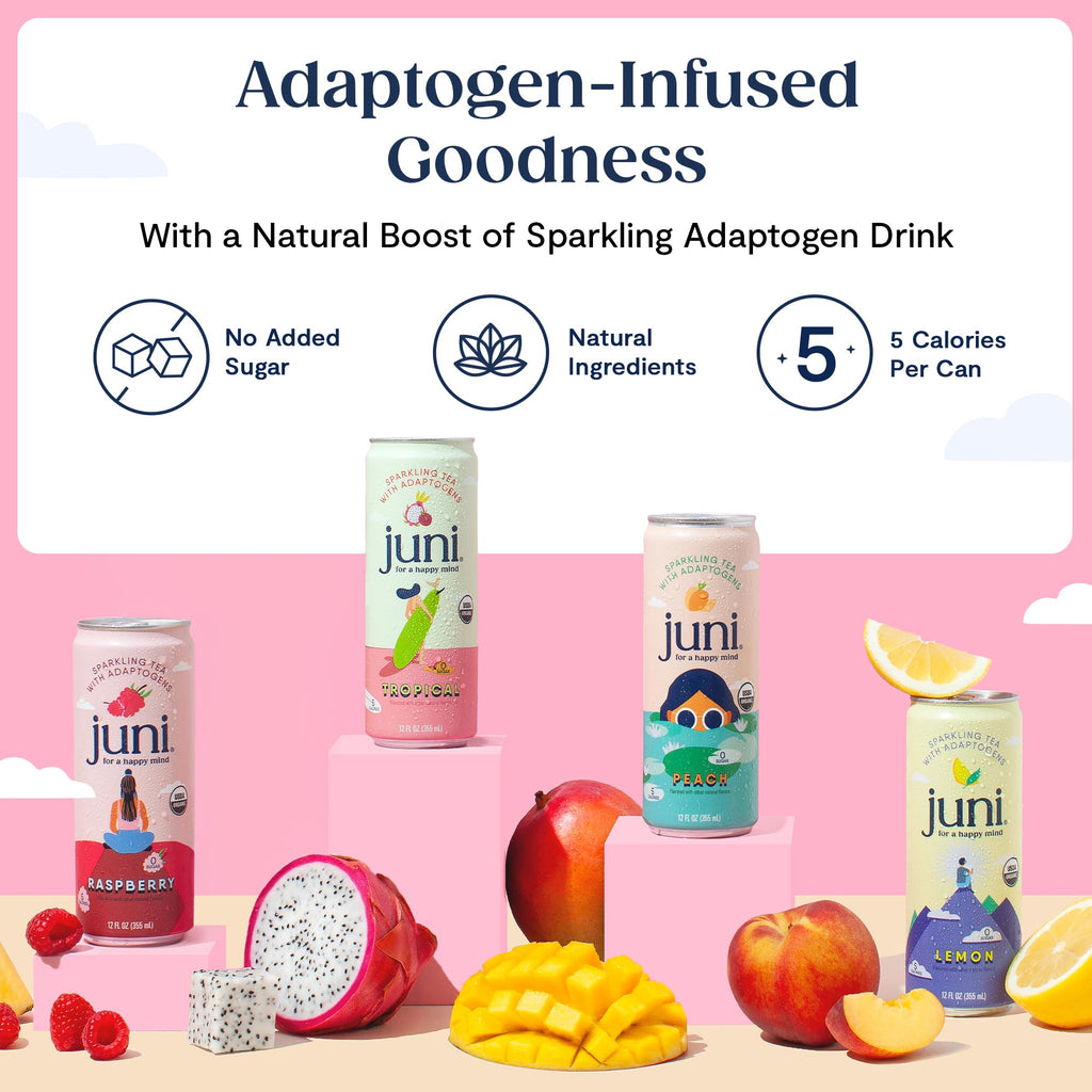 Juni Sparkling Adaptogen Drink, Mood and Focus, 12 pack | Ashwagandha, Lion’s Mane & Reishi Mushrooms, Green Tea, Zero Sugar, Organic Non Alcoholic Drinks