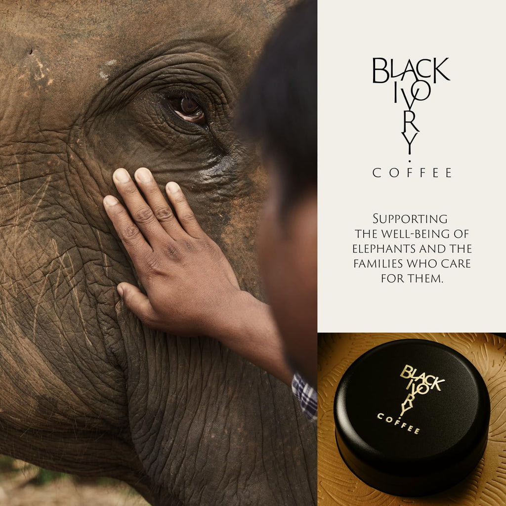 Black Ivory Elephant-Refined Premium Whole Bean Coffee