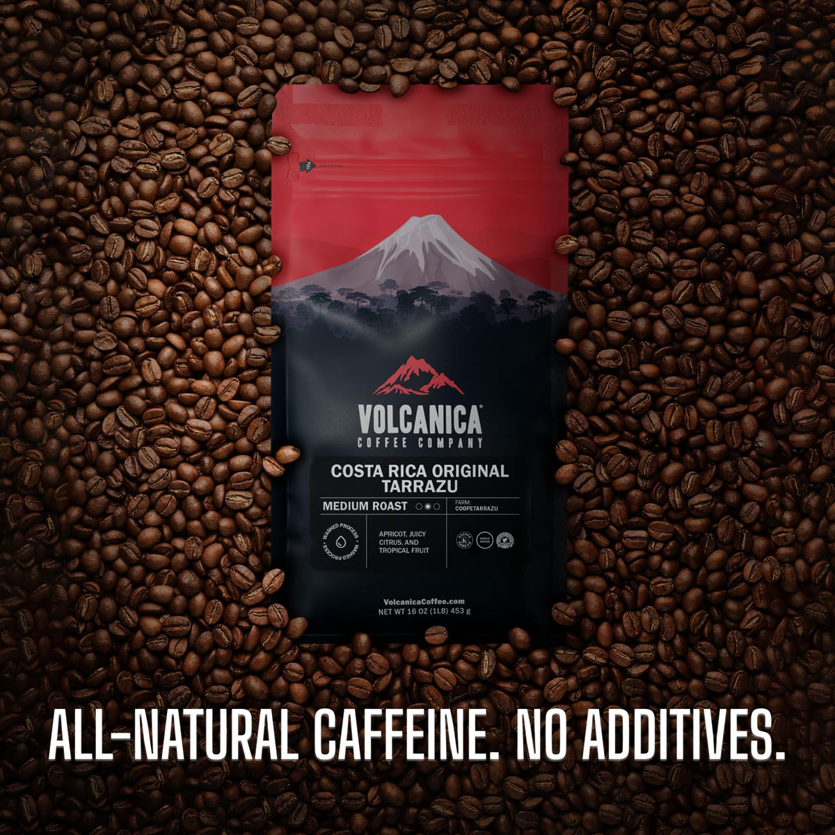 Whole Bean Coffee Bean Medium Parent