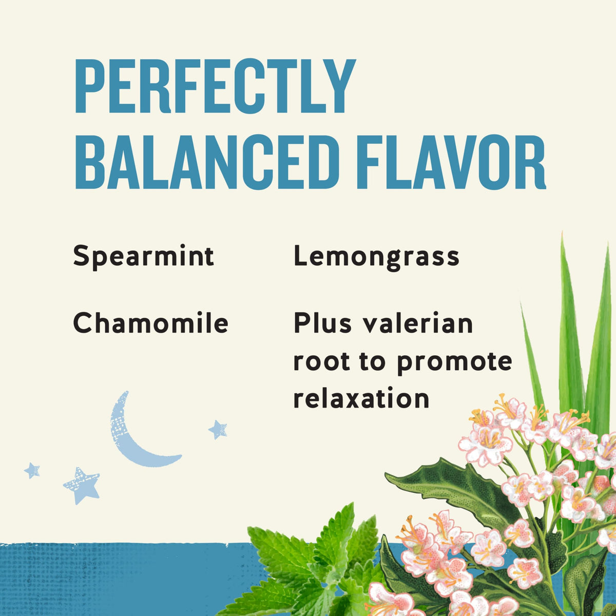 Celestial Seasonings Celestial Seasonings Wellness Tea, Sleepytime Extra
