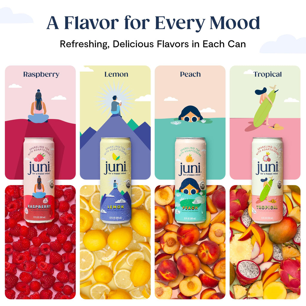Juni Sparkling Adaptogen Drink, Mood and Focus, 12 pack | Ashwagandha, Lion’s Mane & Reishi Mushrooms, Green Tea, Zero Sugar, Organic Non Alcoholic Drinks