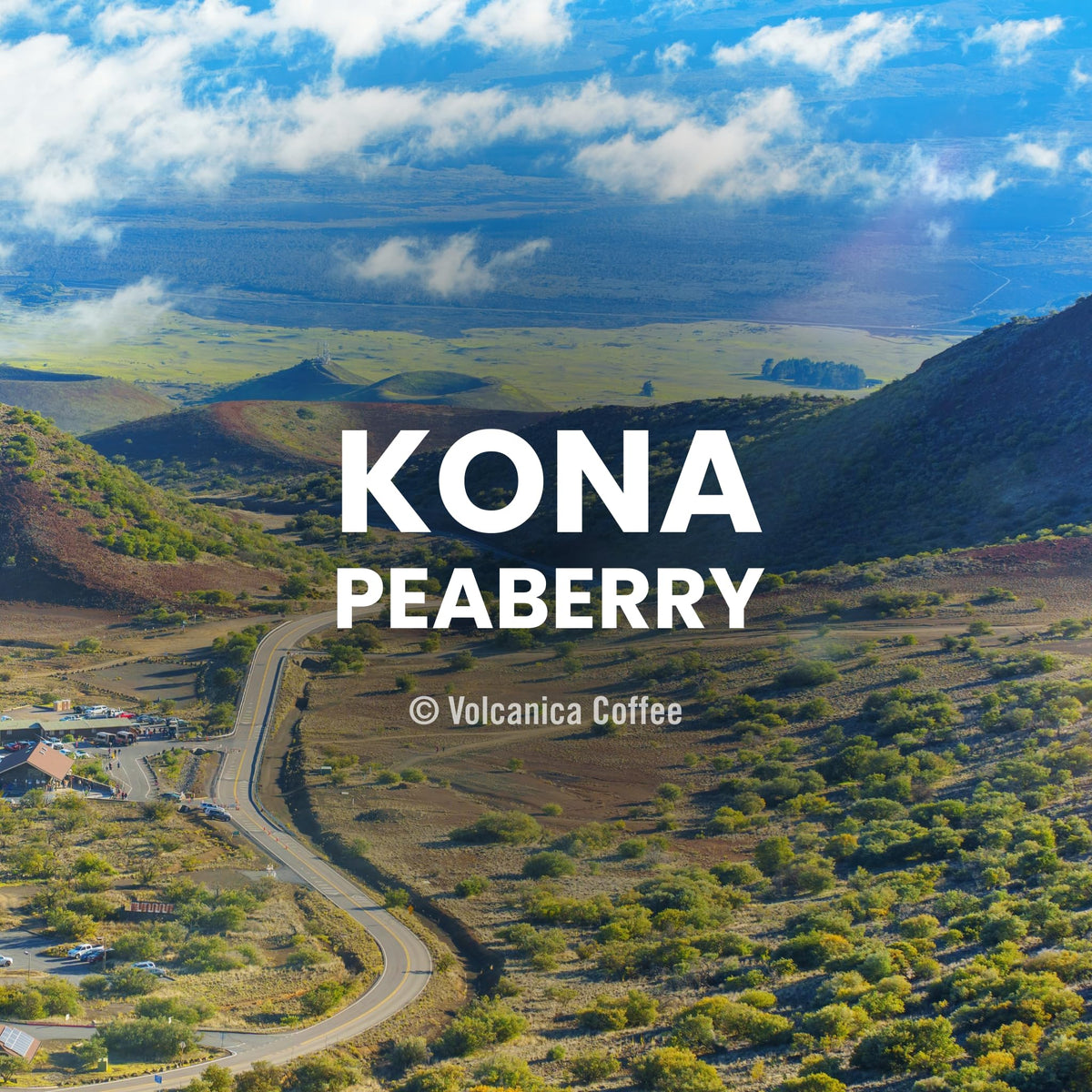 Kona Peaberry Coffee, 100% Pure, Gran Reserve, Whole Bean, Fresh Roasted, 5 lbs